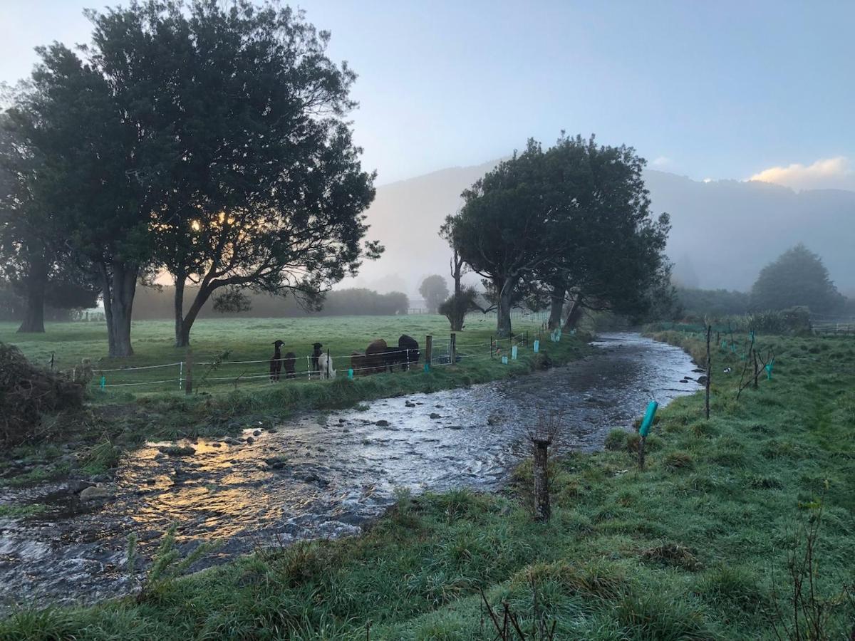 Narrow Neck Creek Farmstay And B&B Upper Hutt Ngoại thất bức ảnh